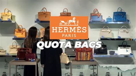 hermes buy enough products before buying handbags|hermes quota bag purchase.